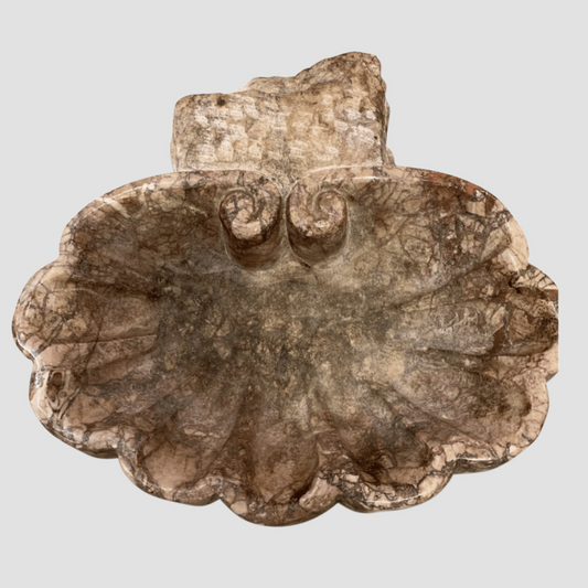 Carved Marble Shell
